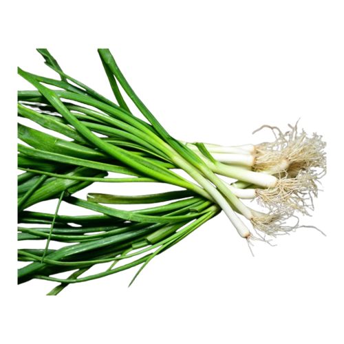 spring-onion